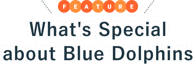 What's Special about Blue Dolphins
